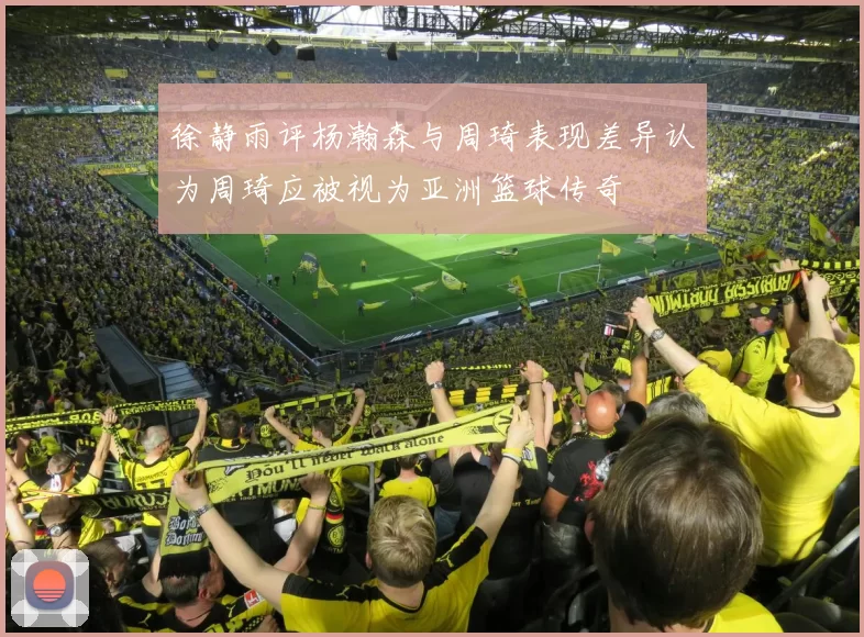 徐静雨评杨瀚森与周琦表现差异认为周琦应被视为亚洲篮球传奇