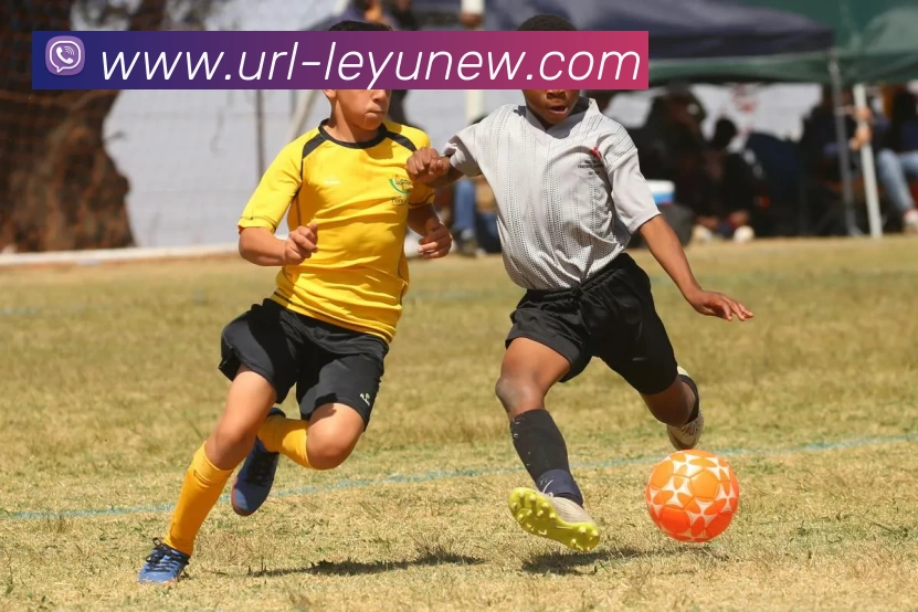 App Interface Preview