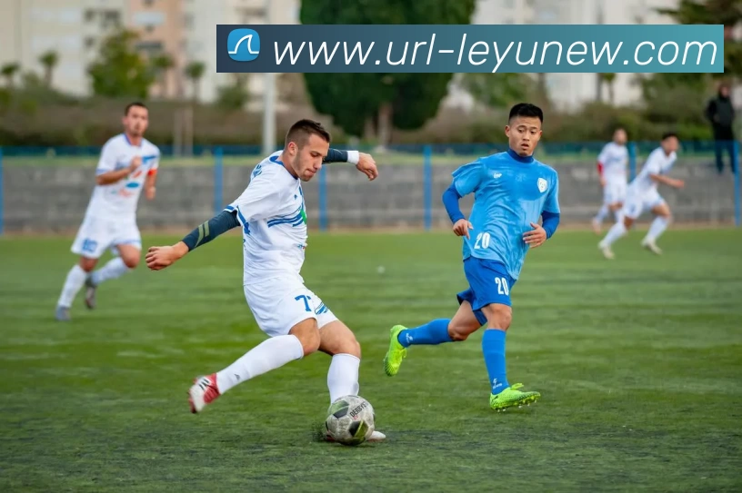 乐鱼体育APP 封面图